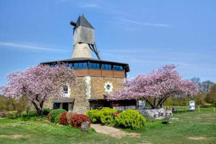Séjour Golf &amp; Bien-être près d’Angers : hôtel spa, gastronomie et parcours de golf