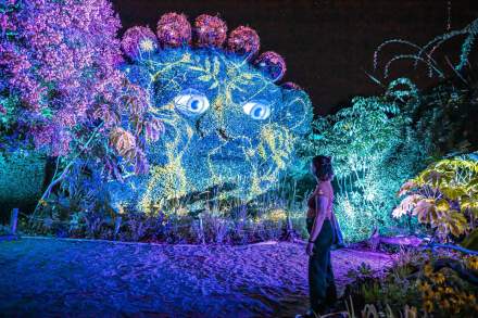 Offres spéciales - Loire&amp;Sens x Terrabotanica - 20 minutes d'angers