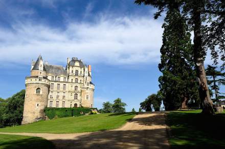 Hôtel autour Angers à Juigné-sur-Loire - Château - Loire et Sens